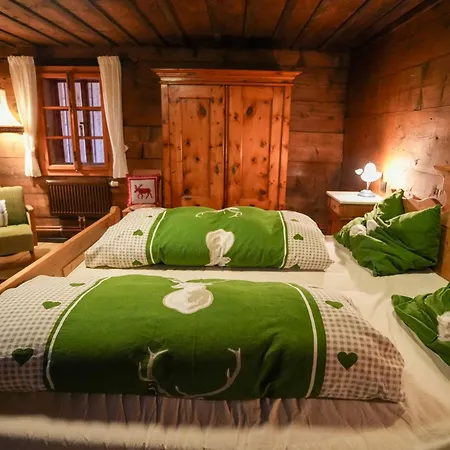 Haus Hainschneider - Zentrum - By Mynests Vakantiehuis